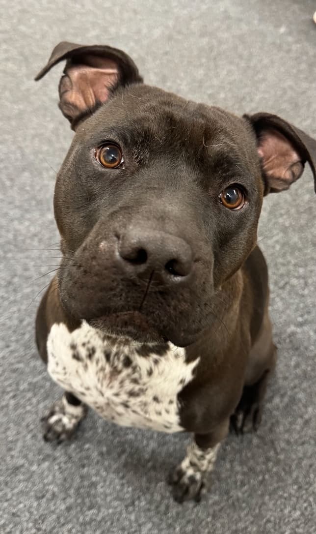George